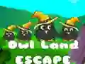 Jeu Évasion du Pays des Hiboux en ligne Jeu Évasion du Pays des Hiboux en ligne