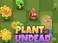 Jeu Plantes contre Morts-vivants en ligne Jeu Plantes contre Morts-vivants en ligne