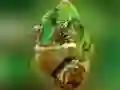 Jeu Puzzle Caméléon en ligne Jeu Puzzle Caméléon en ligne