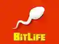 Jeu BitVie en ligne Jeu BitVie en ligne