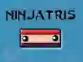 Jeu Ninjatris en ligne