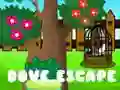 Jeu Évasion de la colombe en ligne Jeu Évasion de la colombe en ligne