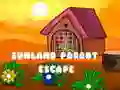 Jeu Évasion du perroquet de Sunland en ligne