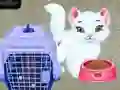 Jeu Baby Taylor: Soin des Animaux en ligne Jeu Baby Taylor: Soin des Animaux en ligne