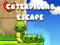 Jeu Évasion de Chenille en ligne Jeu Évasion de Chenille en ligne