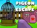 Jeu Évasion de Pigeon en ligne Jeu Évasion de Pigeon en ligne