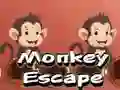 Jeu Évasion de Singe en ligne Jeu Évasion de Singe en ligne