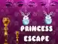 Jeu Évasion de la princesse en ligne Jeu Évasion de la princesse en ligne