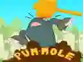 Jeu Pum-Mole en ligne Jeu Pum-Mole en ligne