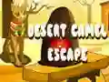 Jeu Évasion du chameau du désert en ligne Jeu Évasion du chameau du désert en ligne