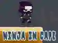 Jeu Ninja en Cape en ligne