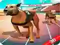 Jeu Course de chiens fous en ligne Jeu Course de chiens fous en ligne