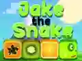 Jeu Jake le Serpent en ligne Jeu Jake le Serpent en ligne