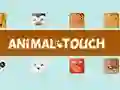 Jeu Animal Toush en ligne Jeu Animal Toush en ligne
