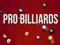 Jeu Billard Professionnel en ligne