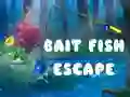 Jeu Évasion du poisson d'appât en ligne Jeu Évasion du poisson d'appât en ligne
