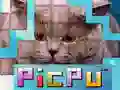 Jeu PicPu Chat en ligne Jeu PicPu Chat en ligne