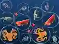Jeu Fusion de Poissons de l'Océan en ligne Jeu Fusion de Poissons de l'Océan en ligne