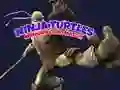 Jeu Mémoire des Tortues Ninja en ligne