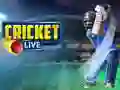 Jeu Cricket En Direct en ligne Jeu Cricket En Direct en ligne