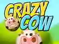 Jeu Vache folle en ligne Jeu Vache folle en ligne