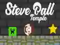 Jeu Temple de Steve Ball en ligne Jeu Temple de Steve Ball en ligne