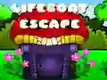 Jeu Évasion en canot de sauvetage en ligne Jeu Évasion en canot de sauvetage en ligne
