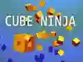 Jeu Ninja Cubique en ligne