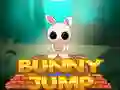 Jeu Saut de Lapin en ligne Jeu Saut de Lapin en ligne