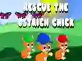 Jeu Sauvez le poussin d'autruche en ligne Jeu Sauvez le poussin d'autruche en ligne