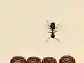 Jeu Écraser toutes les fourmis en ligne Jeu Écraser toutes les fourmis en ligne