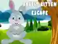 Jeu Évasion du Lapin et du Chaton en ligne Jeu Évasion du Lapin et du Chaton en ligne