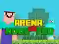 Jeu Arène : Noob contre Pro en ligne