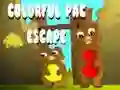 Jeu Évasion Colorée de Pac en ligne Jeu Évasion Colorée de Pac en ligne
