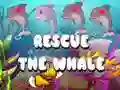 Jeu Sauvez la baleine en ligne Jeu Sauvez la baleine en ligne