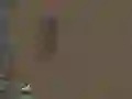 Jeu La Survie en ligne
