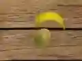 Jeu Tir de Fruits en ligne