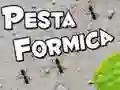 Jeu Fête des Fourmis en ligne Jeu Fête des Fourmis en ligne