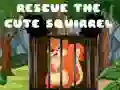 Jeu Sauver le mignon écureuil en ligne Jeu Sauver le mignon écureuil en ligne