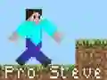 Jeu Pro Steve en ligne Jeu Pro Steve en ligne