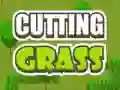 Jeu Tondre l'herbe en ligne Jeu Tondre l'herbe en ligne