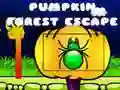 Jeu Évasion de la Forêt de Citrouilles en ligne