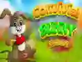 Jeu Évasion du Lapin Convivial en ligne Jeu Évasion du Lapin Convivial en ligne