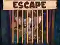 Jeu Évasion de la jolie petite chauve-souris en ligne Jeu Évasion de la jolie petite chauve-souris en ligne