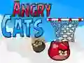 Jeu Chats En Colère en ligne Jeu Chats En Colère en ligne