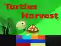 Jeu Récolte des Tortues en ligne Jeu Récolte des Tortues en ligne
