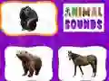 Jeu Sons des Animaux en ligne Jeu Sons des Animaux en ligne