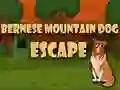 Jeu Évasion du chien de montagne bernois en ligne Jeu Évasion du chien de montagne bernois en ligne