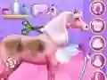 Jeu Soins aux chevaux de la princesse en ligne Jeu Soins aux chevaux de la princesse en ligne