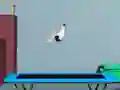 Jeu Flip sur Trampoline en ligne Jeu Flip sur Trampoline en ligne
